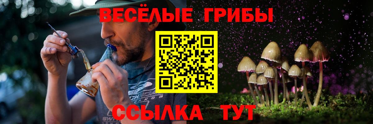 Псилоцибиновые грибы прущие грибы Всеволожск